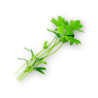 Micro Celery