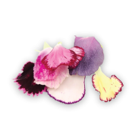 Carnation Petals “Lace Mix”