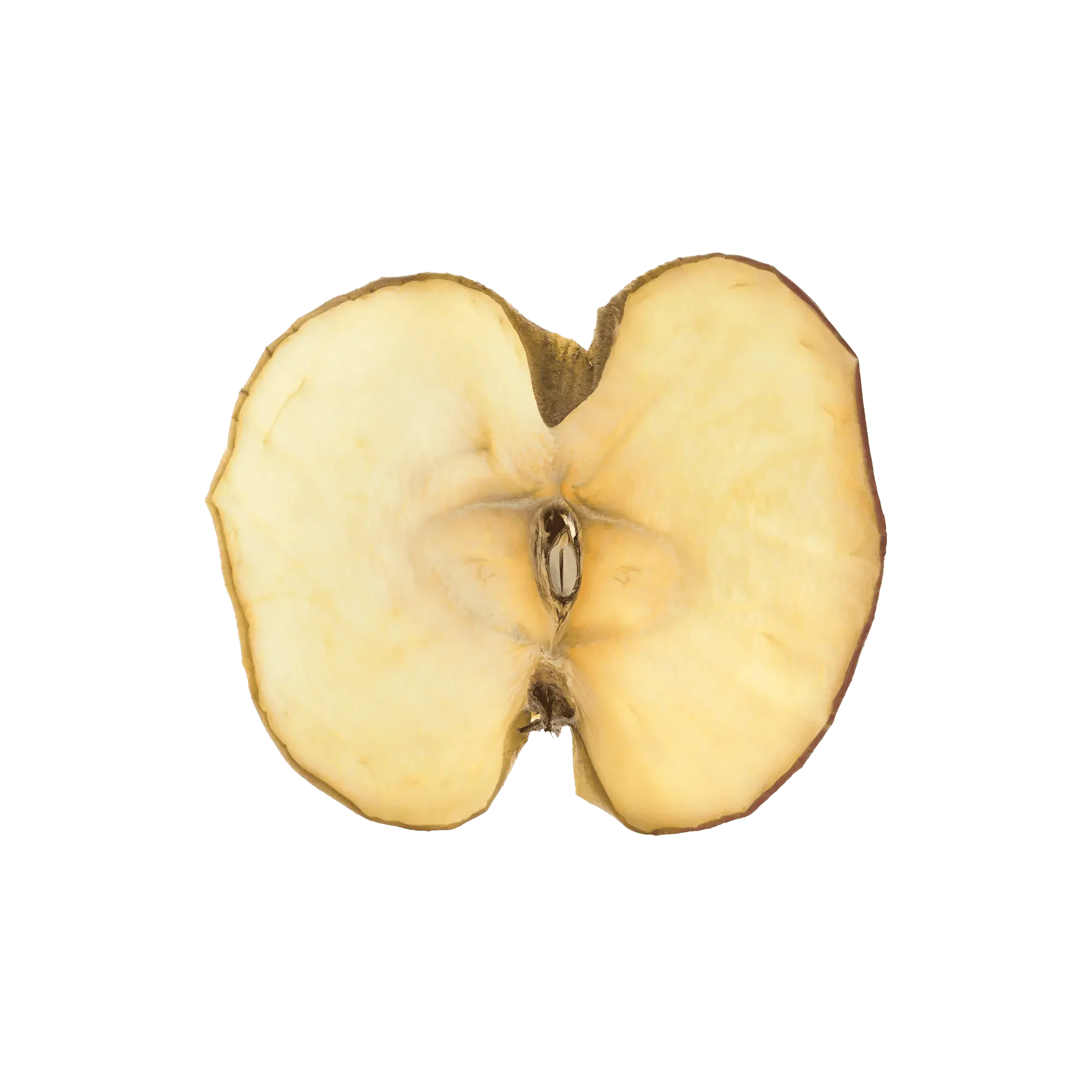 Dehydrated Apple Slice