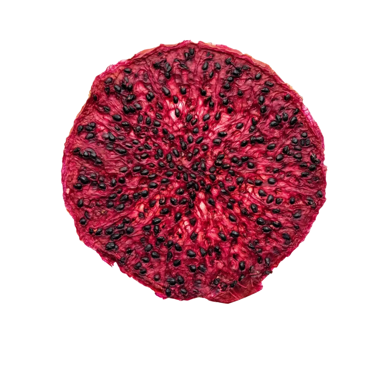 Dehydrated Lemon Slice